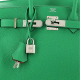 Hermes Birkin Handbag Verso Togo with Palladium Hardware 30
