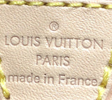 Louis Vuitton Pochette Accessoires NM Monogram Canvas