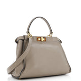 Fendi Peekaboo Bag Leather with Tortoise Detail Regular