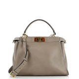 Fendi Peekaboo Bag Leather with Tortoise Detail Regular