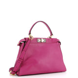 Fendi Peekaboo Bag Rigid Leather Regular