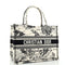 Christian Dior Book Tote Embroidered Canvas Medium