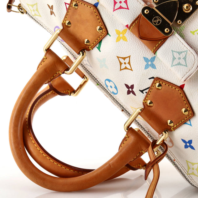 Louis Vuitton Speedy Handbag Monogram Multicolor 30