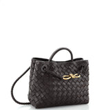 Bottega Veneta Andiamo Small Top Handle Bag