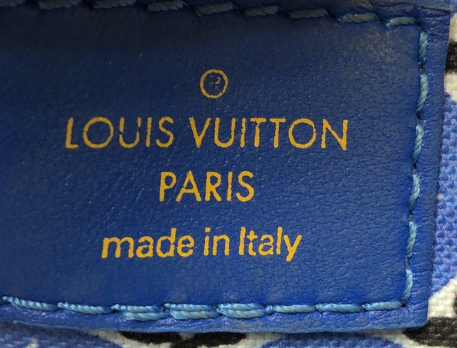 Louis Vuitton NeoNoe Handbag By The Pool Monogram Watercolor Giant BB