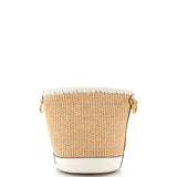 Prada Bucket Bag Woven Raffia with Leather Small