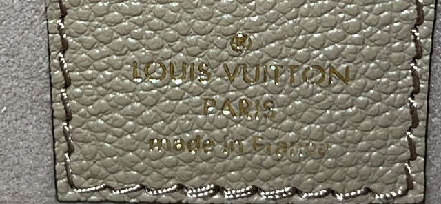 Louis Vuitton Loop Hobo Bicolor Monogram Empreinte Giant