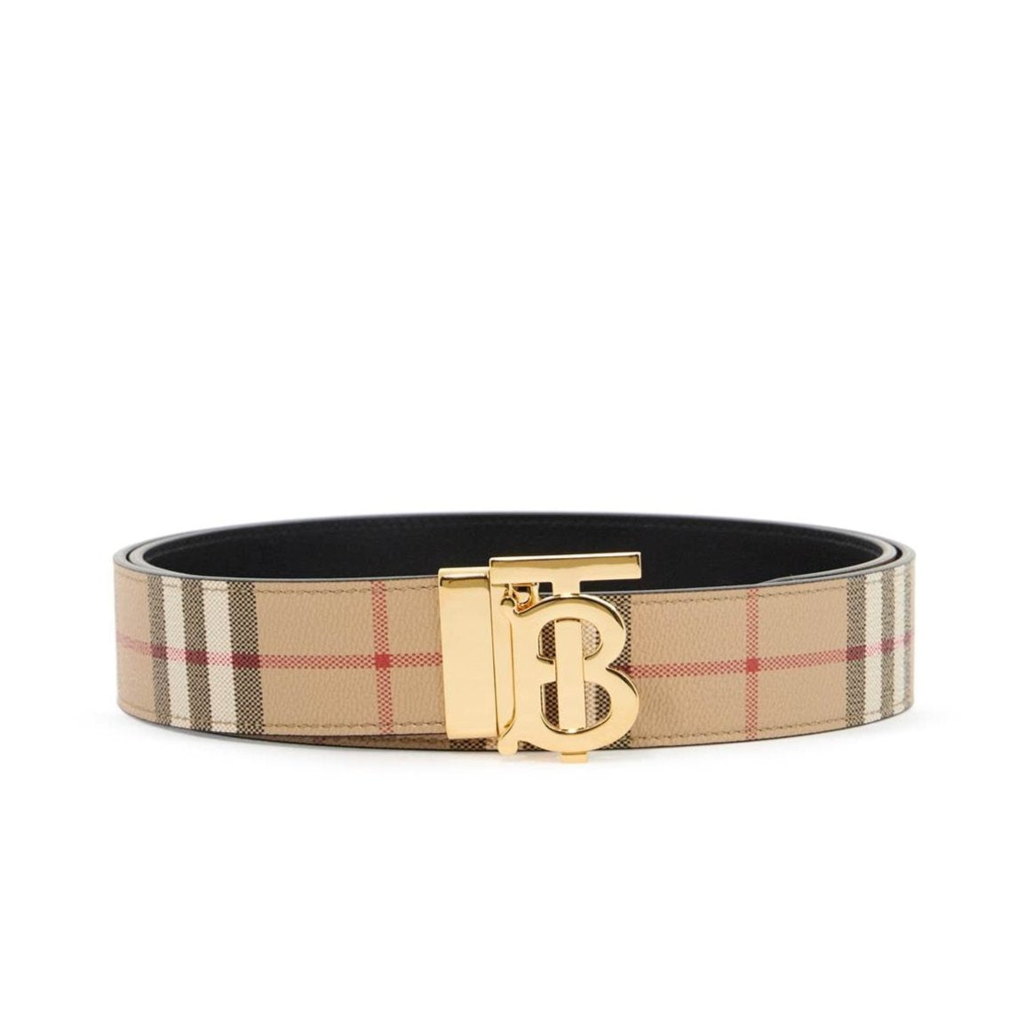 Reversible TB Check Belt